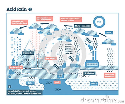 Acid rain cycle, nature ecosystem pollution infographic Vector Illustration