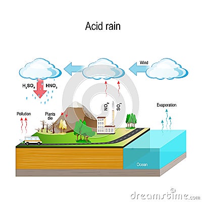 Acid rain. Water cycle Vector Illustration