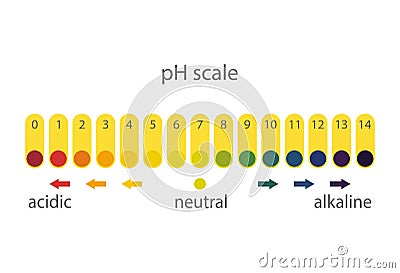 Acidity scale of litmus indicator paper, on a white background. Vector Illustration