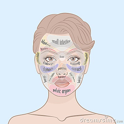 Acne Face Map. Vector Illustration