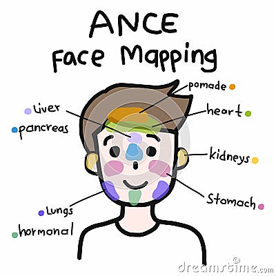 Face mapping for acne , Cute man cartoon face illustration Vector Illustration