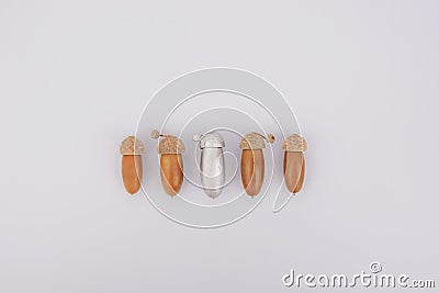 The acorn is highlighted in silver. Leadership concept Stock Photo