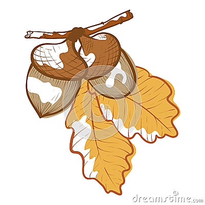 Acorn icon, autumn plant of a natural forest Vector Illustration