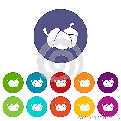 Acorn set icons Vector Illustration