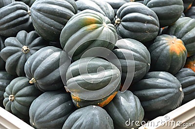 Acorn Squash Stock Photo