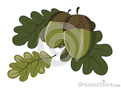 Acorns and leaves Vector Illustration