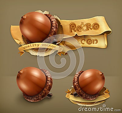 Acorns vector icons Vector Illustration