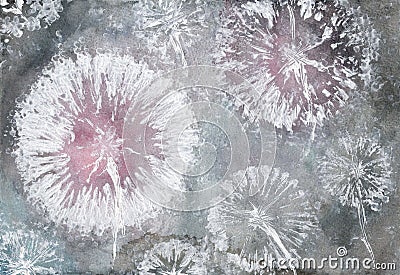 Acrylic dandelions on a gray watercolor background. Hand painted wildflowers. Abstract landscape. Stock Photo