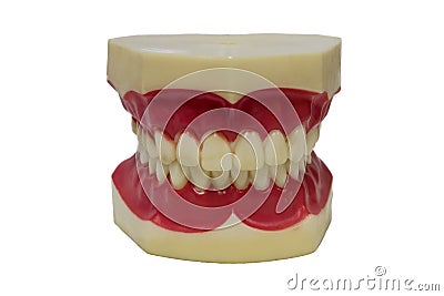 Acrylic denture set Stock Photo