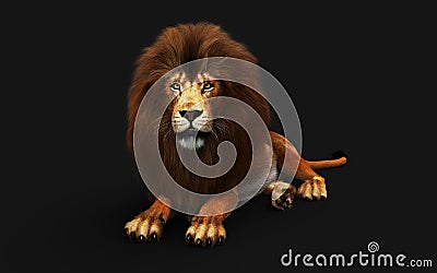 Action of Dangerous Lion with Clipping Path Stock Photo