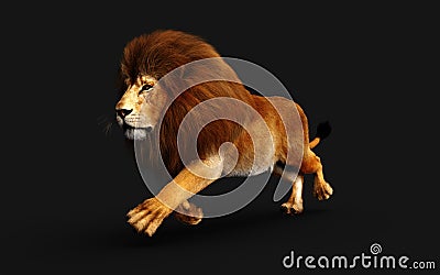 Action of Dangerous Lion with Clipping Path Stock Photo