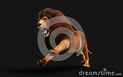 Action of Dangerous Lion with Clipping Path Stock Photo