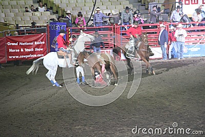 Action in a grand rodeo Editorial Stock Photo