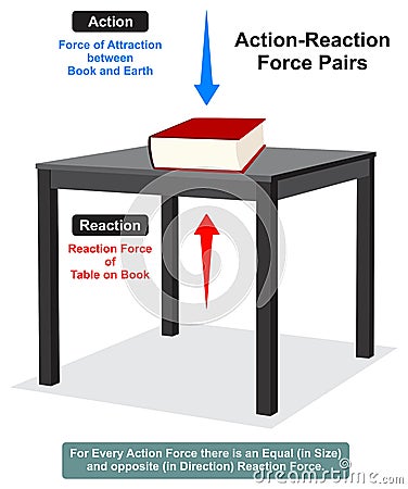 Action reaction force pair infographic diagram Vector Illustration