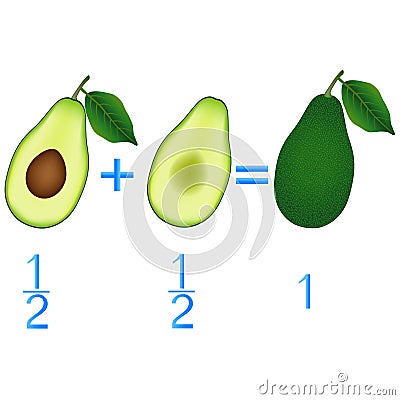 Action relationship of addition halves, examples with avocado. Educational game for children. Vector Illustration