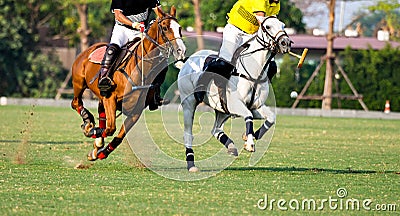 Action Shot Of the Polo Player Stock Photo