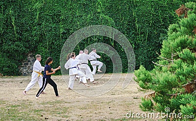 Action shot of students learning various Karate moves in a park in Germany Editorial Stock Photo