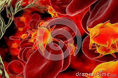 Activated platelets in blood flow and red blood cells Cartoon Illustration