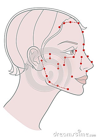 Active acupuncture points on the profile template Girl with a short haircut and a beautiful skull. Vector image Vector Illustration