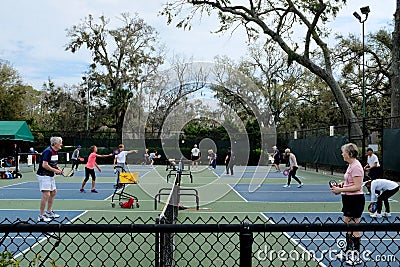 Active Adults Playing Pickleball Outdoors Editorial Stock Photo