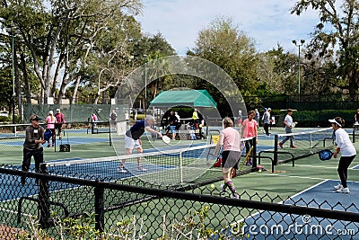 Active Adults Playing Pickleball Outdoors Editorial Stock Photo