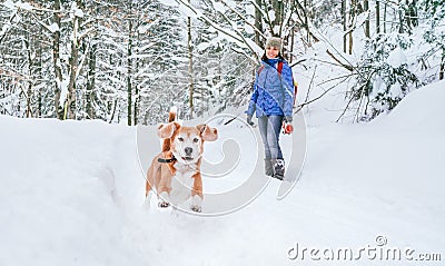 Active beagle dog running in deep snow. Its female owner lookking and smiling. Winter walks with pets concept image Stock Photo