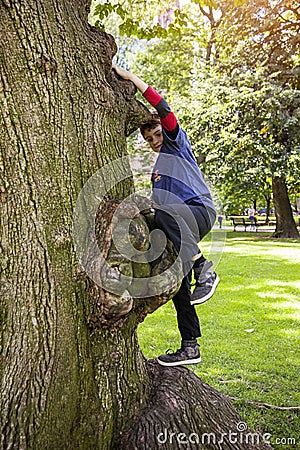 Active eight year old boy climbing a tree Stock Photo