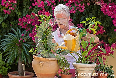 Active retiree gardener watering plants Stock Photo