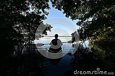 Active senior kayaker silhouetted against blue sky under mangrove canopy. Stock Photo