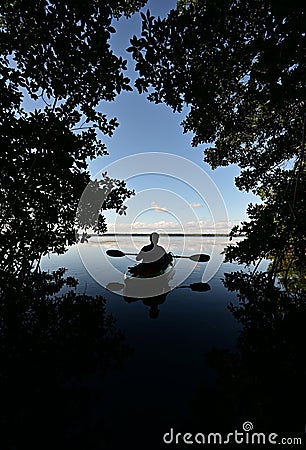 Active senior kayaker silhouetted against blue sky under mangrove canopy. Stock Photo