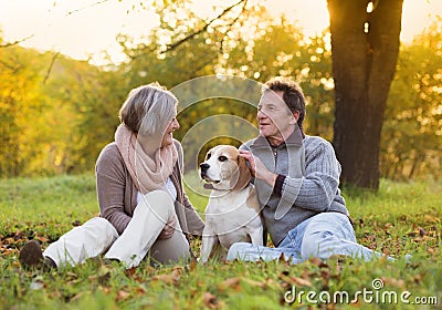 Active seniors Stock Photo