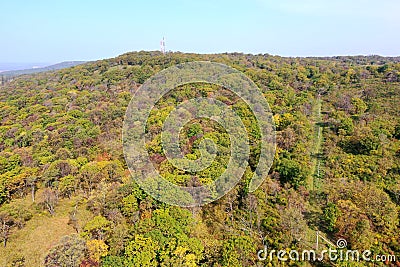 Forest of russia vladivostok sky sunny tourism primorsky kray Stock Photo