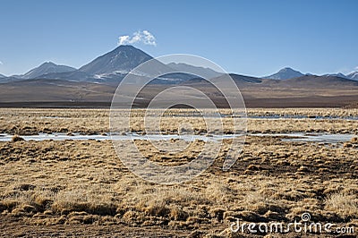 Active volcano Putana also known as Jorqencal or Machuca near Vado Rio Putana in Atacama Desert, Chile Stock Photo