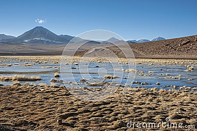 Active volcano Putana also known as Jorqencal or Machuca near Vado Rio Putana in Atacama Desert, Chile Stock Photo