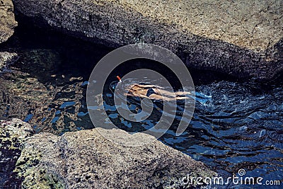 Active woman snorkeling in the sea Editorial Stock Photo