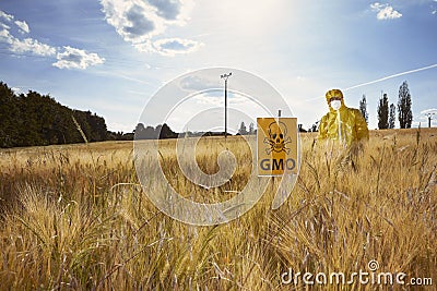 Activist protesting against genetically modified cereals on field Stock Photo