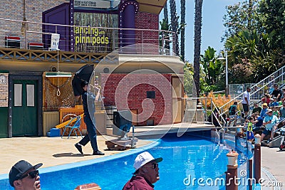 Entertaining visitors at the San Diego Sea World in california Editorial Stock Photo
