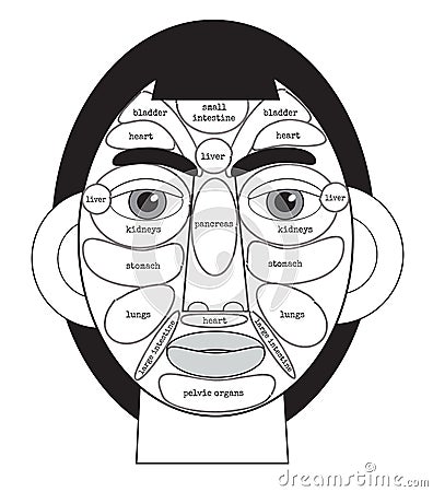 Acupuncture areas on the face in black and white Vector Illustration