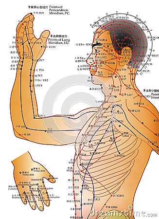 Acupuncture Chart - Alternative Medicine Editorial Stock Photo