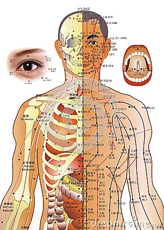 Acupuncture Chart - Chinese Medicine Editorial Stock Photo