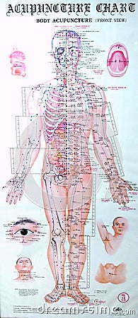 Acupuncture Chart Editorial Stock Photo