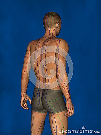 Acupuncture, 3D Model Stock Photo