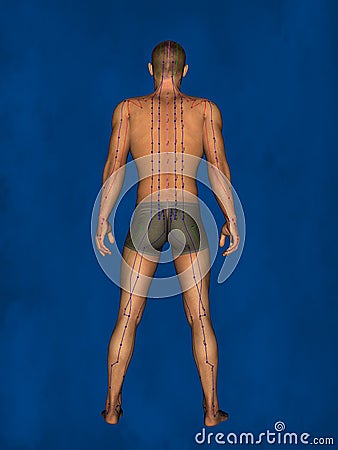 Acupuncture, 3D Model Stock Photo