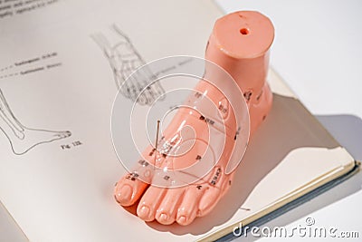 Acupuncture demonstration on foot model Stock Photo