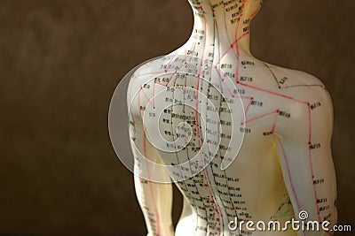 Acupuncture dummy back and shoulder Stock Photo