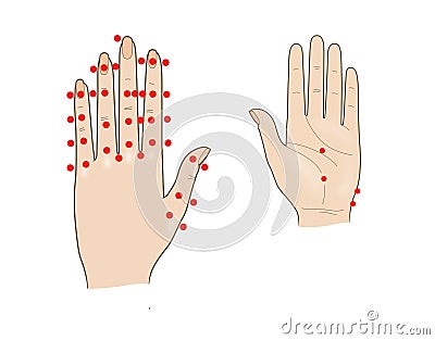 Acupuncture hand massage. Shiatsu. Active points. Isolated on a white background Stock Photo