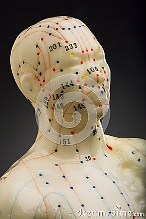 Acupuncture mannequin head Stock Photo