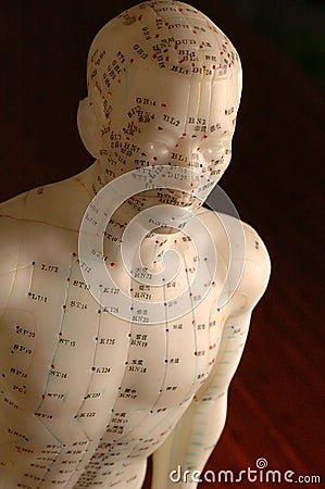 Acupuncture meridian lines training mannequin figurine. Stock Photo