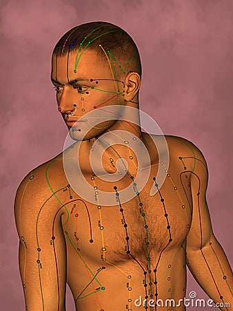 Acupuncture model, 3D illustration Stock Photo