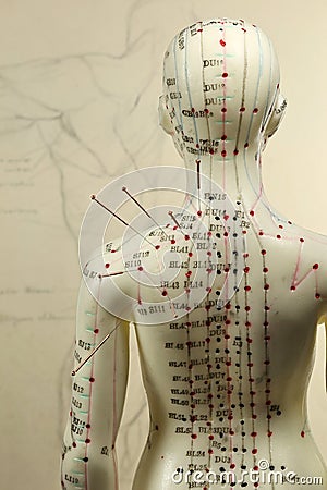 Acupuncture model Stock Photo